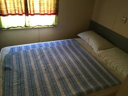 International Camping