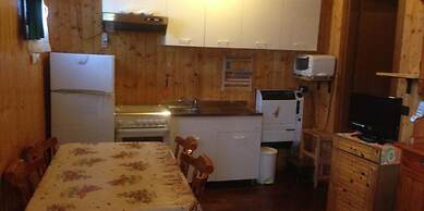 International Camping