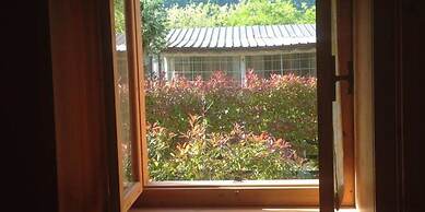 International Camping