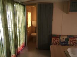 International Camping