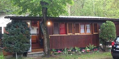 International Camping