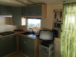 International Camping