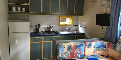 International Camping