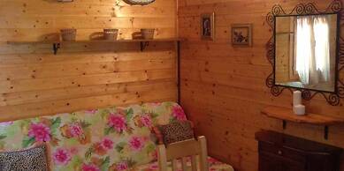 International Camping