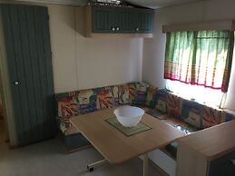 International Camping