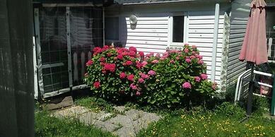 International Camping