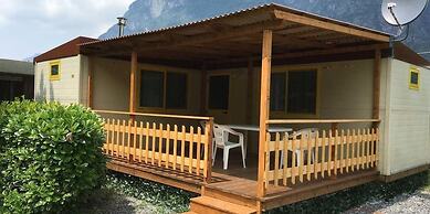 International Camping