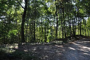 Villa Fior di Robinia