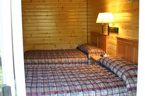 Denali Grizzly Bear Resort