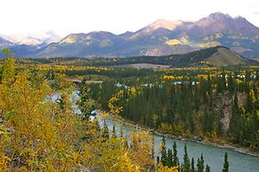 Denali Grizzly Bear Resort