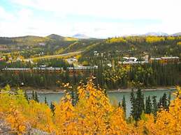 Denali Grizzly Bear Resort