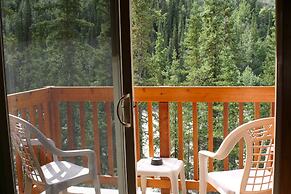 Denali Grizzly Bear Resort