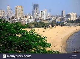 Hotel AK International