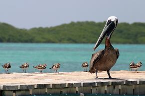 Bonaire Oceanfront Apartments