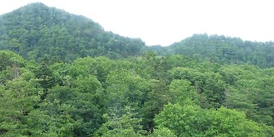 Nukabirakan Kanko Hotel