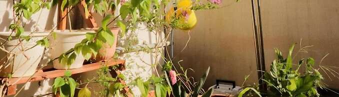 ALL FRIENDS - Hostel