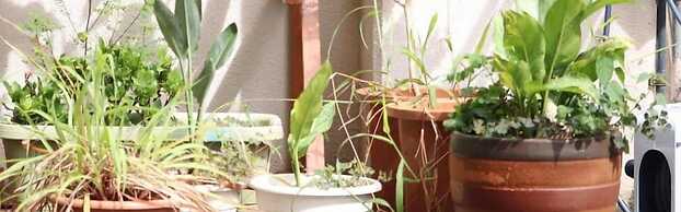 ALL FRIENDS - Hostel