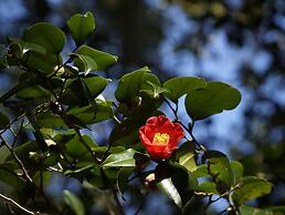 APA Hotel Miyazaki Nobeoka Ekimae