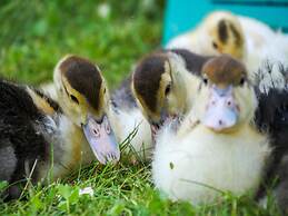 Ödevata Gårdshotell