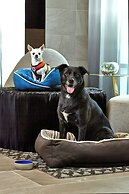 AC Hotel by Marriott Portland Downtown, OR