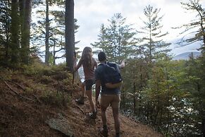 Hotel Saranac Curio Collection By Hilton