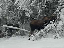 Alaska Grizzly Lodge