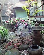 Deer Guesthouse - Hostel