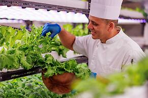 OZEN LIFE MAADHOO - Luxury All Inclusive with Free Transfers