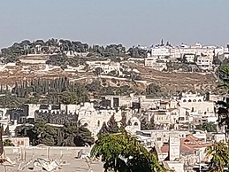 Jerusalem Center Boutique Apartment