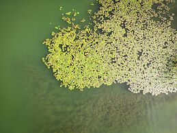 Wellness Landhaus PARTH