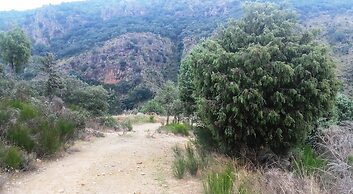 Douro Camping
