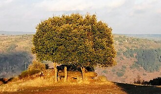 Douro Camping