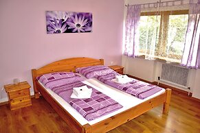 Astoria Apartments Wildschönau