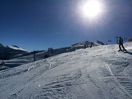 Astoria Apartments Wildschönau