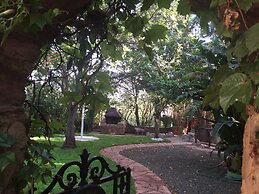 Rainforest Boutique Camp