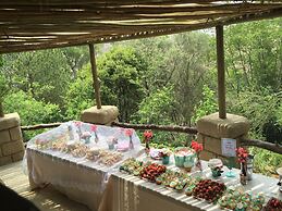 Rainforest Boutique Camp