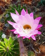 Haggards Bed and Breakfast