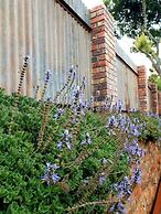 Haggards Bed and Breakfast