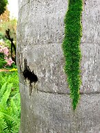 Haggards Bed and Breakfast