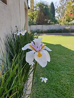 Haggards Bed and Breakfast