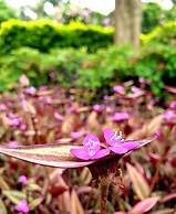 Haggards Bed and Breakfast