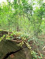 Haggards Bed and Breakfast