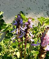 Haggards Bed and Breakfast