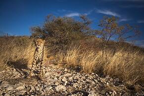 Aloegrove Safari Lodge