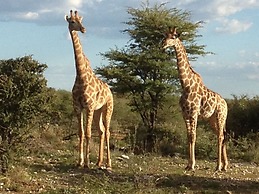 Aloegrove Safari Lodge