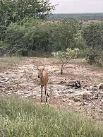 Aloegrove Safari Lodge