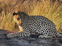 Aloegrove Safari Lodge