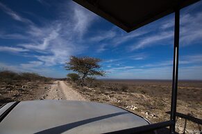 Aloegrove Safari Lodge