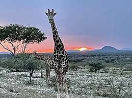 Aloegrove Safari Lodge