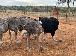 Aloegrove Safari Lodge